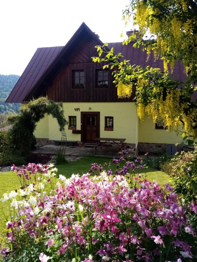 Apartments Vecernik Rokytnice Rokytnice nad Jizerou Exterior photo
